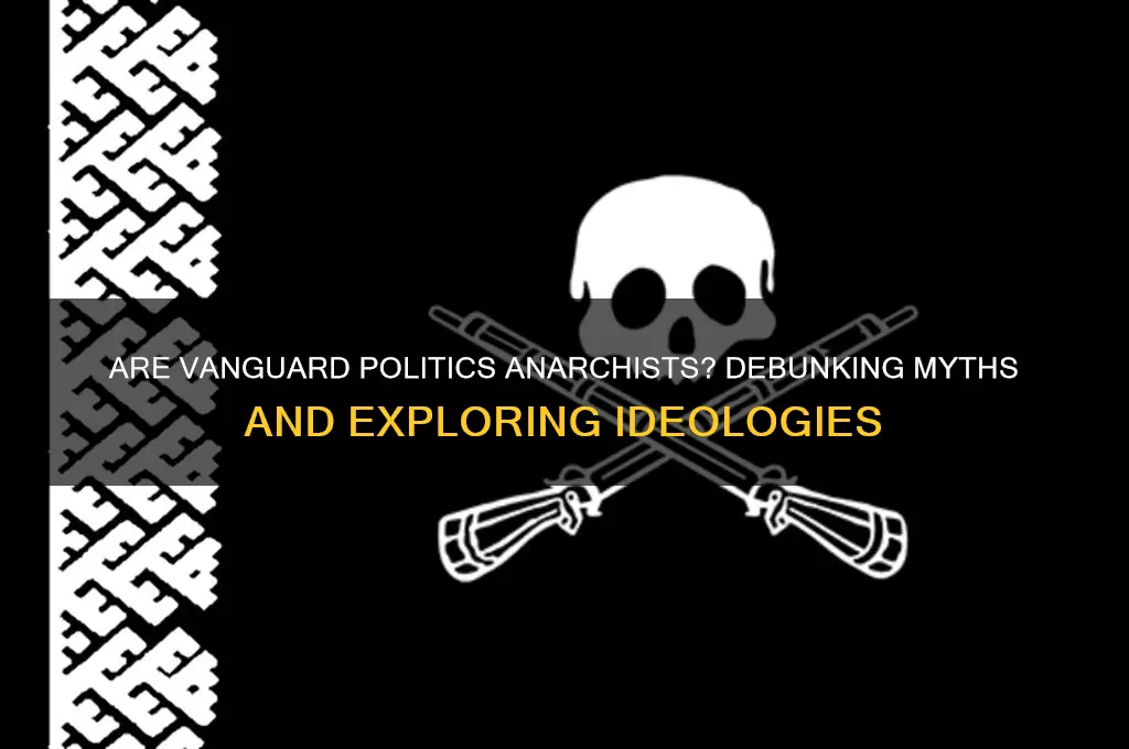are vanguard politics anarchists