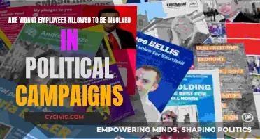 Political Campaigns: Vidant Employees' Involvement Boundaries