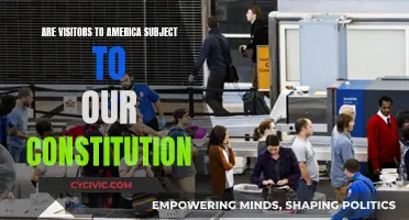US Constitution: Rights for Foreign Visitors?
