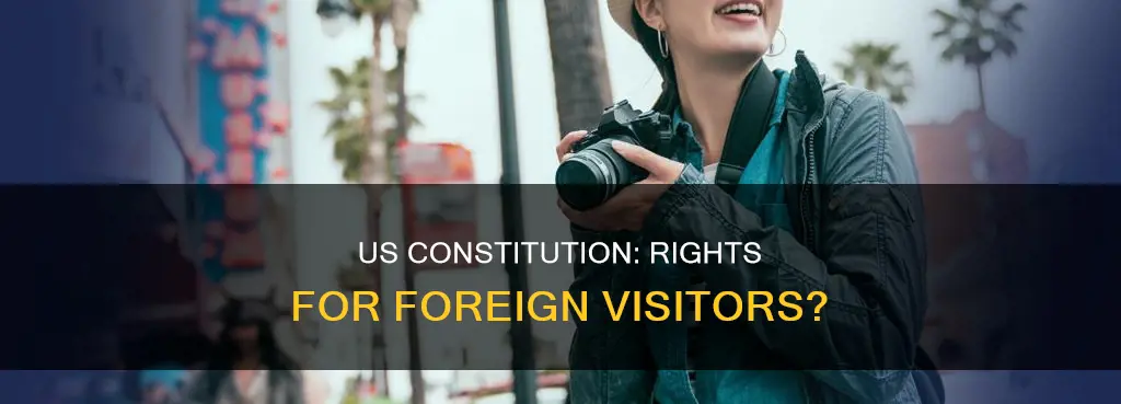 are visitors to america subject to our constitution