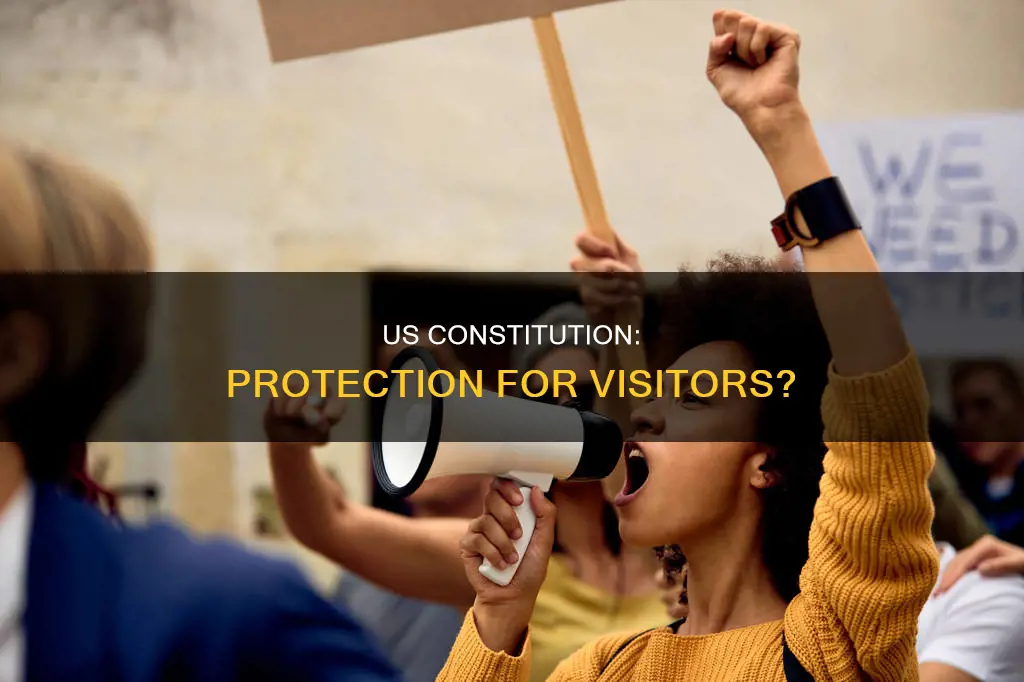 are visitors to the us protected by the constitution