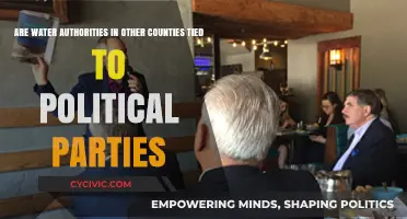 Political Affiliations and Water Authorities: A Global Governance Perspective