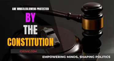 Whistleblowers: Constitutional Protection or Not?