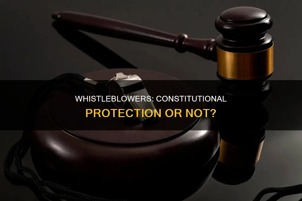 are whistleblowers protected by the constitution
