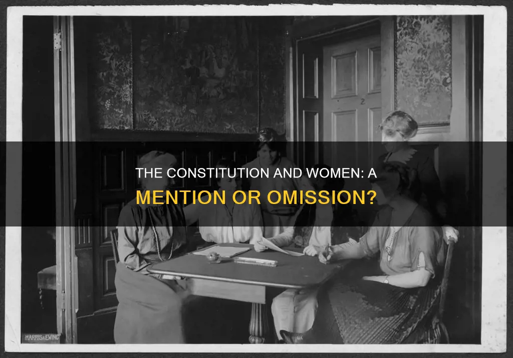 are women mentioned anywhere in the constitution 3f