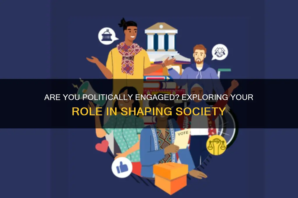 are you a political person