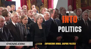 Are You Into Politics? Exploring Engagement, Impact, and Personal Involvement