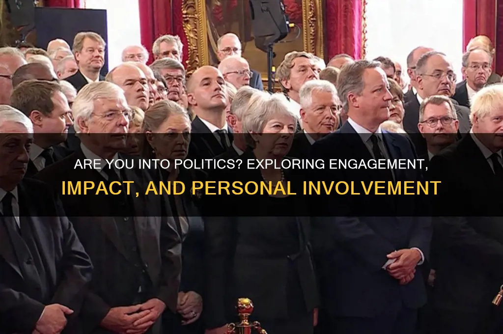 are you into politics