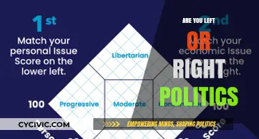 Spectrum of Beliefs: Navigating the Left-Right Political Divide