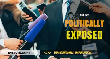 Are You Politically Exposed? Understanding Risks and Compliance Essentials