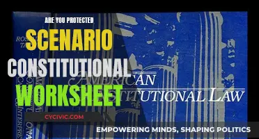Constitutional Worksheet: Are You Protected?