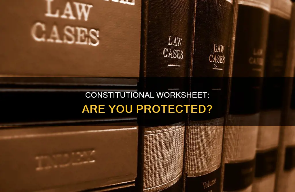 are you protected scenario constitutional worksheet