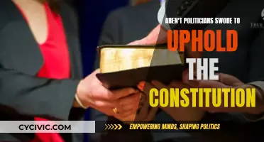Politicians' Primary Duty: Upholding the Constitution