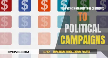 Non-profit Political Campaign Contributions: Legal or Not?
