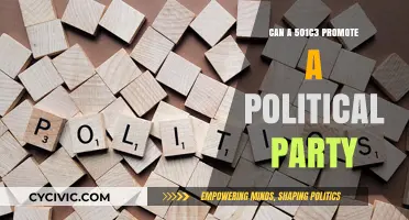 Can Nonprofits Endorse Political Parties? 501(c)(3) Rules Explained