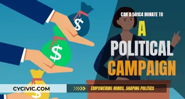 Political Campaign Donations: 501(c)(4)'s Power Play?
