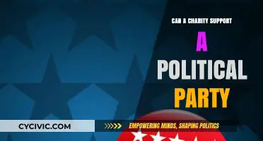 Charities and Politics: Ethical Boundaries of Supporting Political Parties