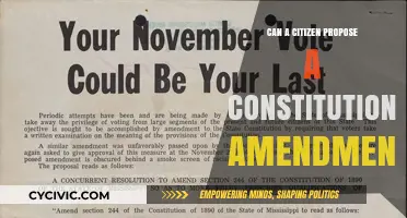 How Citizens Can Propose Constitutional Amendments