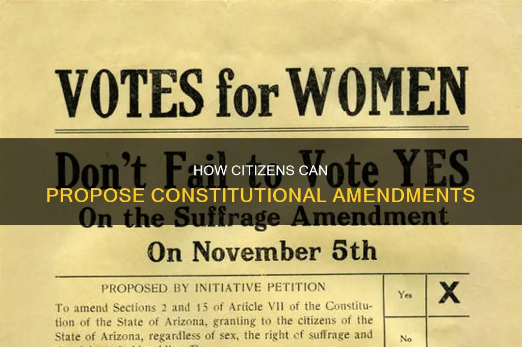 can a citizen propose a constitutional amendment