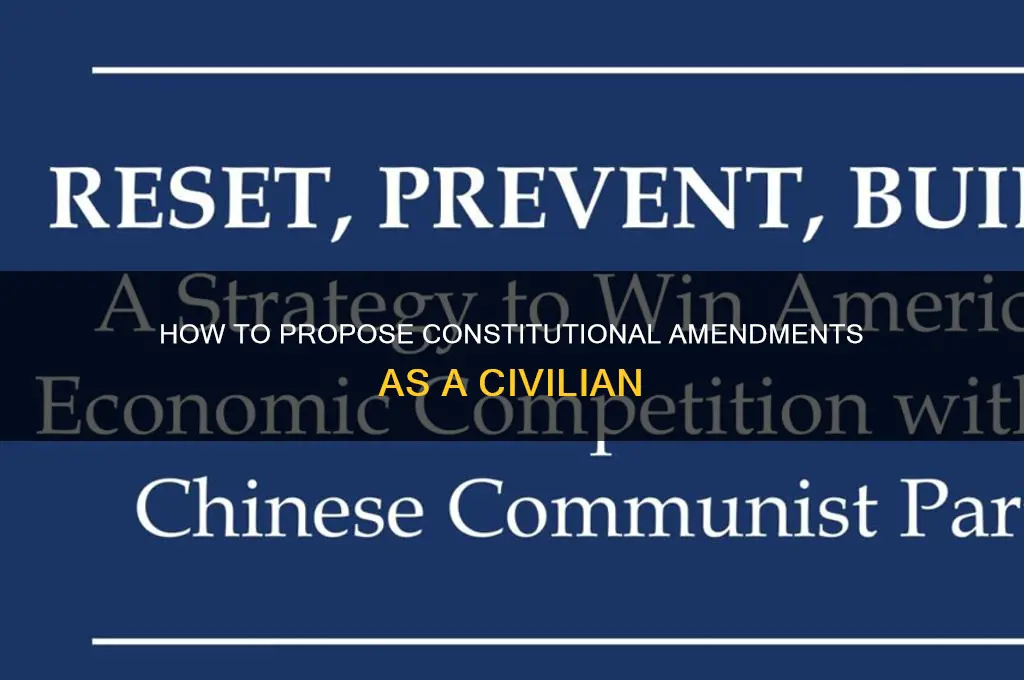can a civilian submit an amendment to the constitution