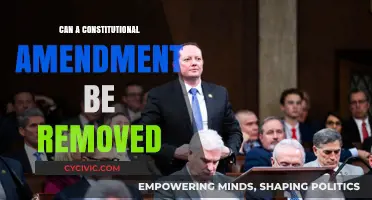 How Amendments are Repealed and Erased from the Constitution