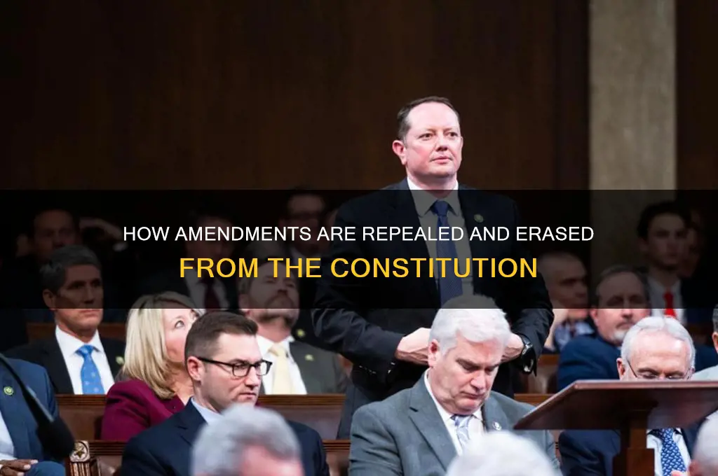 can a constitutional amendment be removed