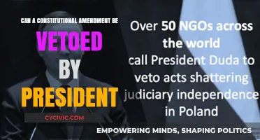 The President's Power: Can They Veto Amendments?