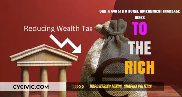 Wealth Tax: A Constitutional Amendment for Fair Taxation