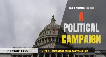 Corporations and Politics: Running Campaigns?