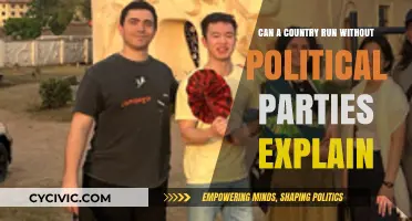 Can Nations Function Without Political Parties? Exploring Non-Partisan Governance