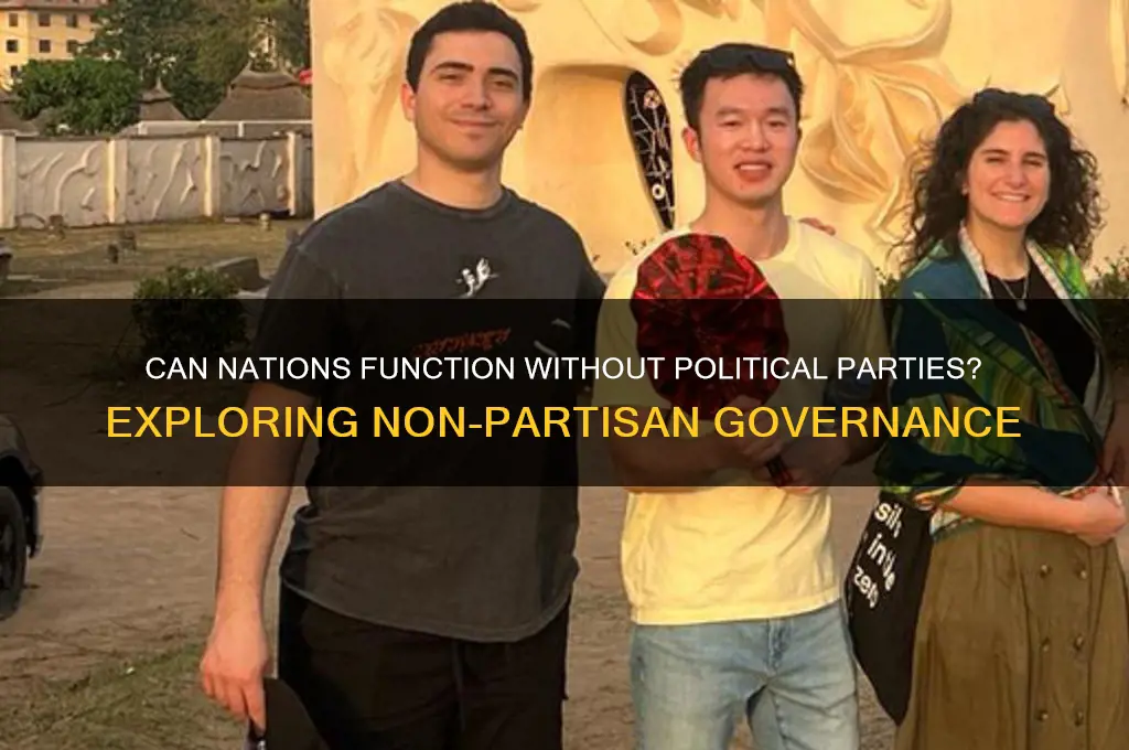 can a country run without political parties explain