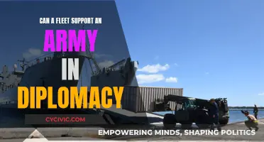 Fleet's Role in Army Diplomacy: A Strategic Support?