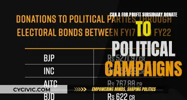 Political Donations: For-Profit Subsidiaries' Legalities Explored