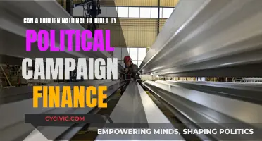 Foreign Nationals in Political Campaign Finance: What's Allowed?