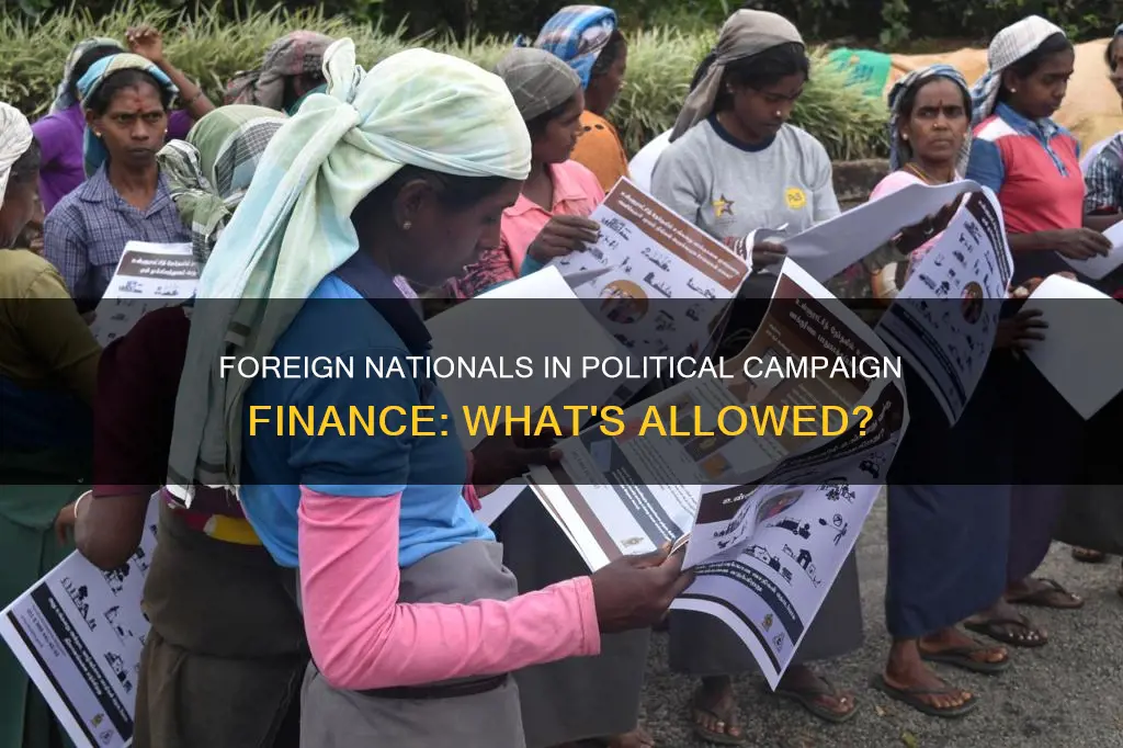 can a foreign national be hired by political campaign finance