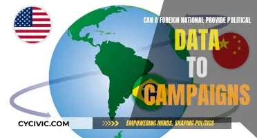 Foreign Nationals: Political Data Donors?