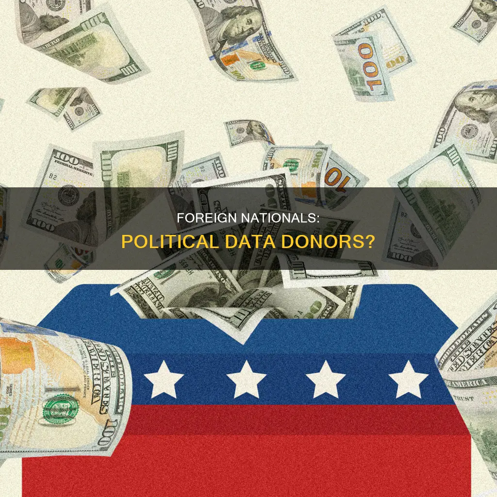 can a foreign national provide political data to campaigns