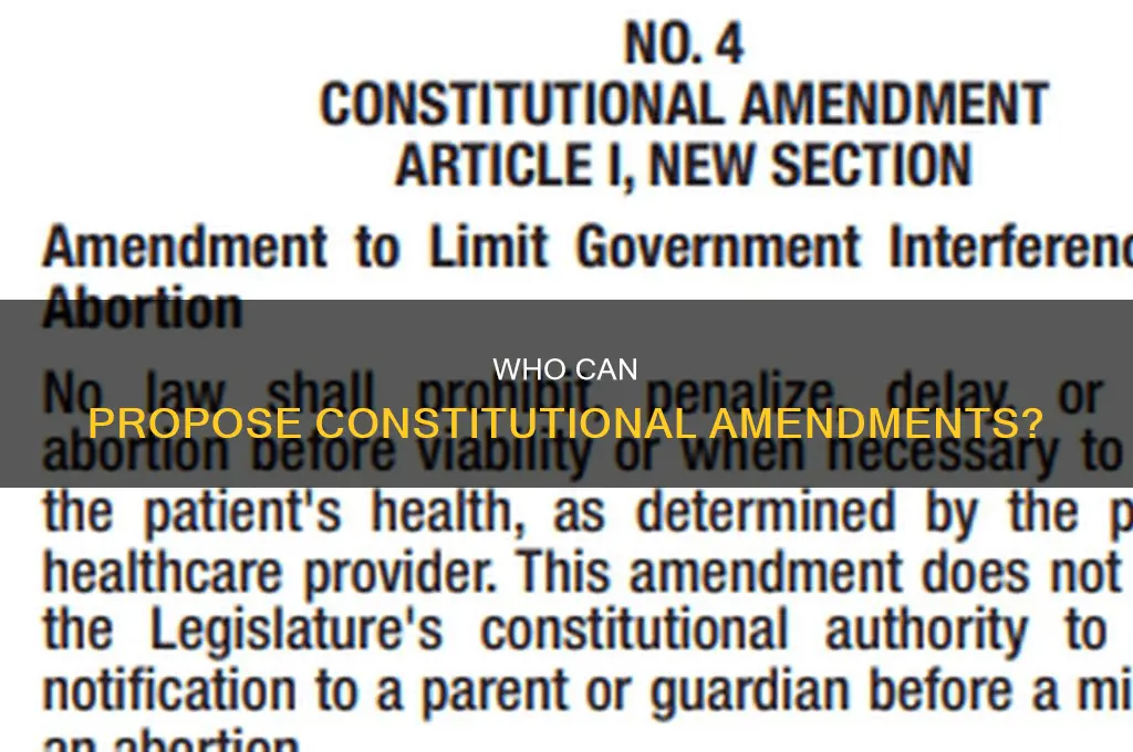 can a governor propose a constitutional amendment