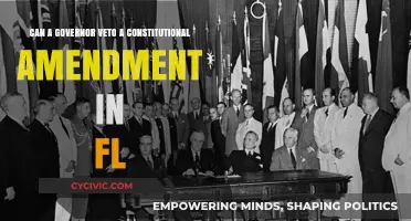 Florida's Veto Power: Can Governors Override Amendments?