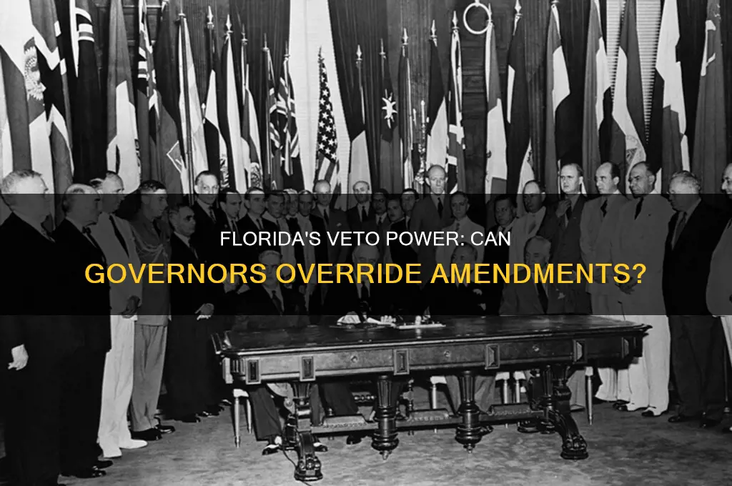 can a governor veto a constitutional amendment in fl