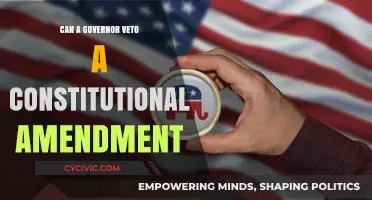 Executive Power: Vetoing Constitutional Amendments