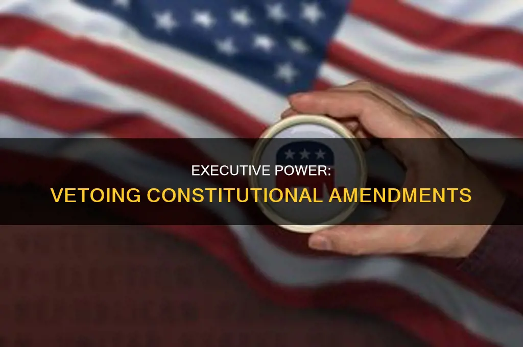 can a governor veto a constitutional amendment