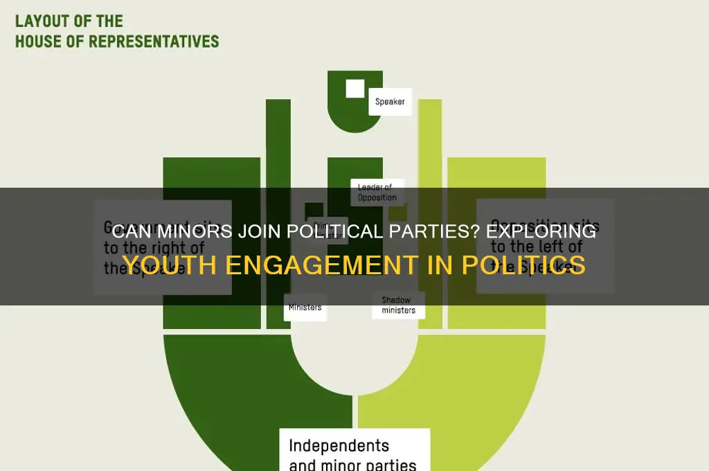 can a minors join a political party
