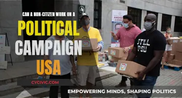 Non-Citizen Political Campaign Work: Legal or Not?