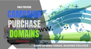 Political Campaigns: Domain Purchase Strategies and Options