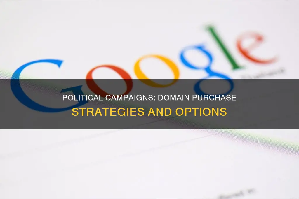 can a political campaign purchase domains
