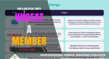 Can Political Parties Legally Remove Their Own Members from Office?