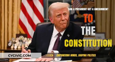 Executive Power: Amending the Constitution