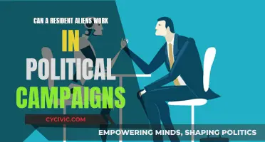 Resident Aliens: Political Campaign Work, Allowed or Not?