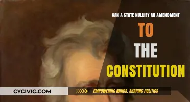 Nullifying Amendments: States' Power vs. Constitution